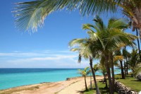 PACK INFUSION THES GLACES